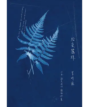 書封 給愛麗絲